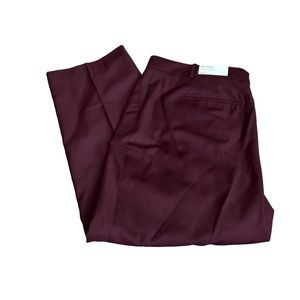 ANN TAYLOR nwt the straight dress pant